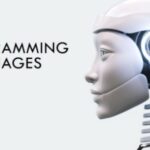 AI Programming Languages